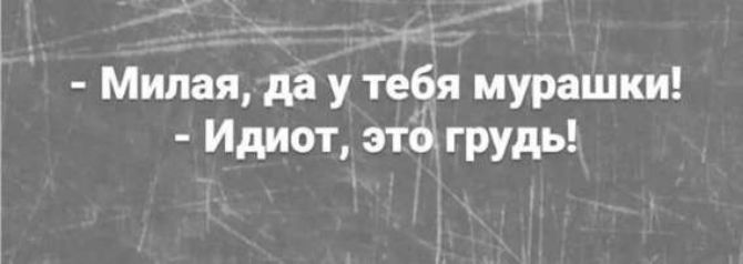 - Милая, да у тебя мурашки! - Идиот, это грудь!