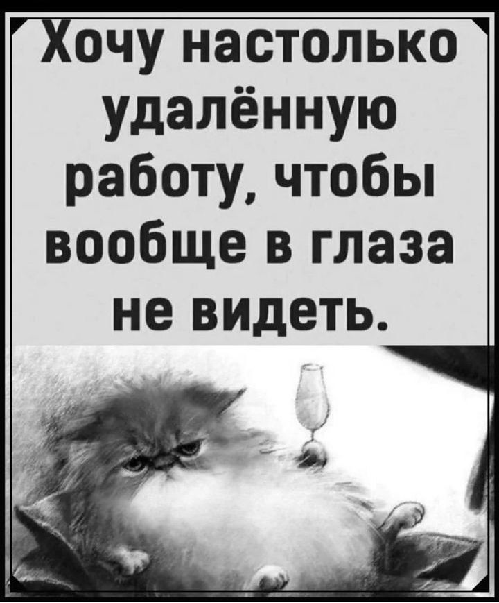 Хочу настолько удалённую работу, чтобы вообще в глаза не видеть.