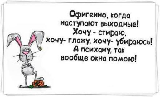 Офигенно, когда наступают выходные! Хочу - стираю, хочу - глажу, хочу - убираюсь! А психану, так вообще окна помою!