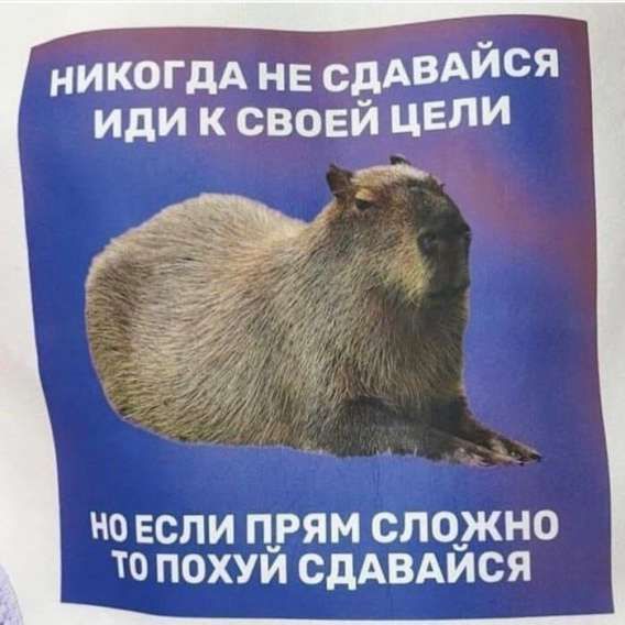 НИКОДА НЕ СДАВАЙСЯ ИДИ К СВОЕЙ ЦЕЛИ НО ЕСЛИ ПРЯМ СЛОЖНО ТО ПОХУЙ СДАВАЙСЯ
