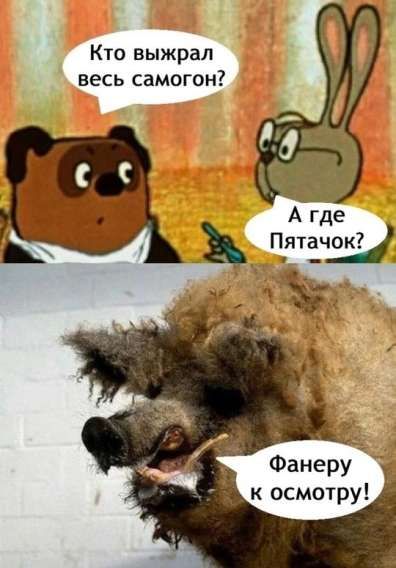 Кто выжрал весь самогон? А где Пятачок? Фанеру к осмотру!