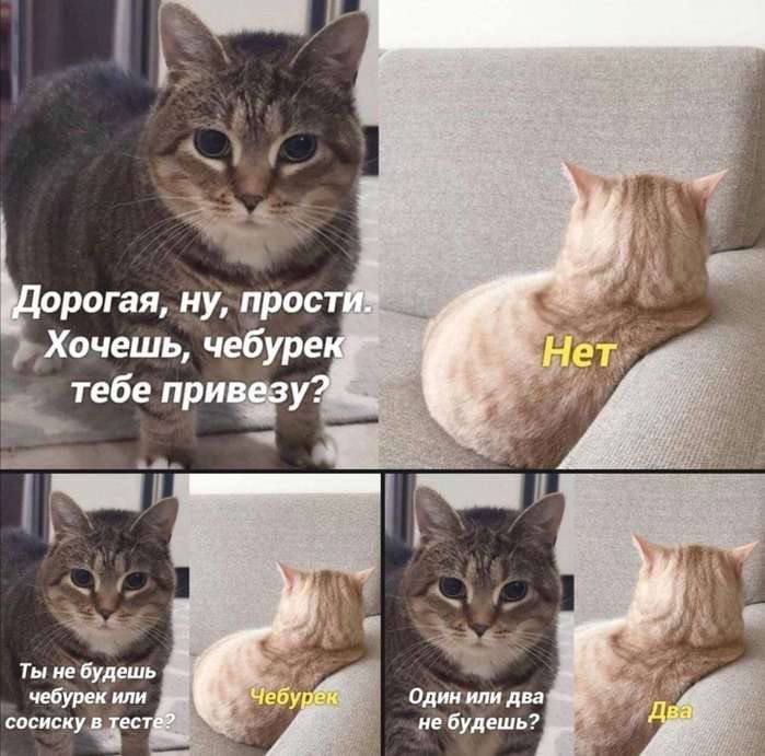 Дорогая, ну, прости. Хочешь, чебурек тебе привезу? Нет. Ты не будешь чебурек или сосиску в тесте? Чебурек. Один или два не будешь? Два.
