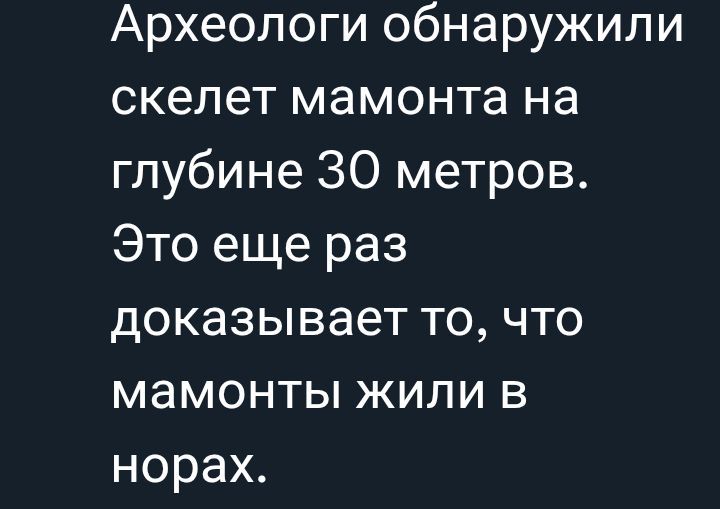 Археологи обнаружили скелет мамонта на глубине 30 метров. Это еще раз доказывает то, что мамонты жили в норах.