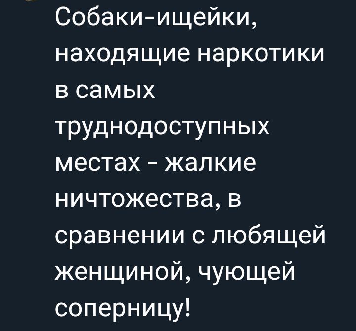 Собаки-ищейки, находящие наркотики в самых труднодоступных местах – жалкие ничтожества, в сравнении с любящей женщиной, чью жертву соперницу!
