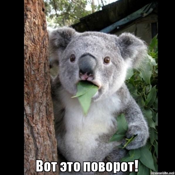 Вот это поворот!