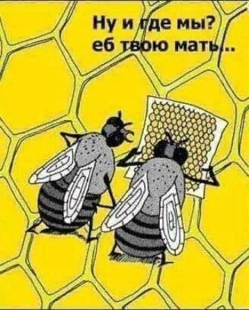 Ну и где мы? еб твою мать..