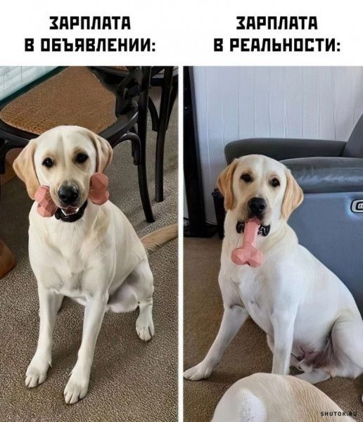 ЗАРПЛАТА В ОБЪЯВЛЕНИИ: ЗАРПЛАТА В РЕАЛЬНОСТИ: