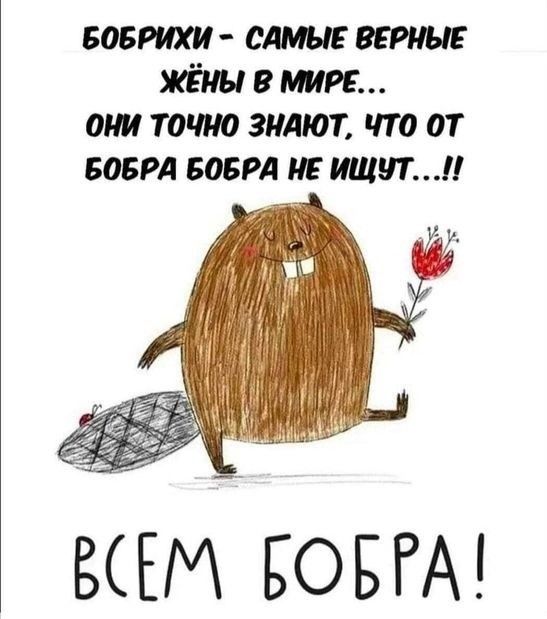 БОБРИХИ - САМЫЕ ВЕРНЫЕ ЖЁНЫ В МИРЕ... ОНИ ТОЧНО ЗНАЮТ, ЧТО ОТ БОБРА БОБРА НЕ ИЩУТ...!! ВСЕМ БОБРА!