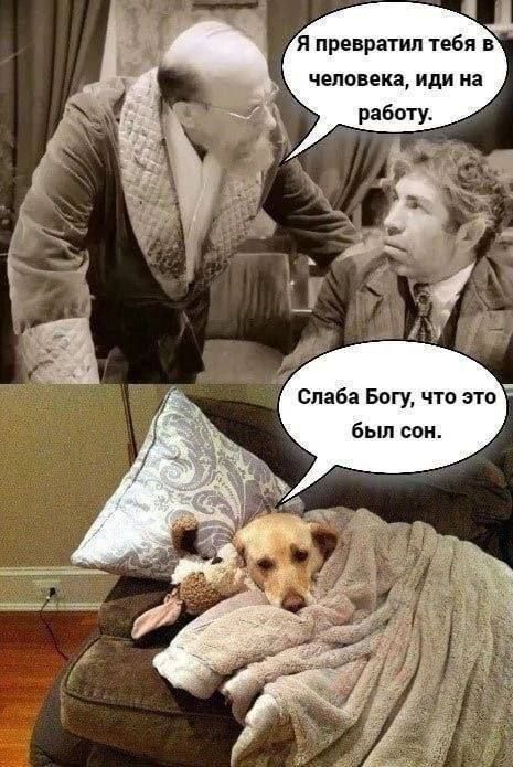 Я превратил тебя в человека, иди на работу. Слаба Богу, что это был сон.