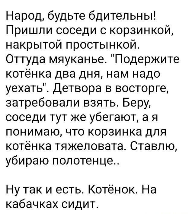 Народ, будьте бдительны! Пришли соседи с корзинкой, накрытой простынкой. Оттуда мяukanье. 