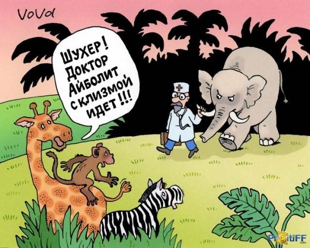 ШУХЕР! Доктор Айболит с клизмой идет!!!