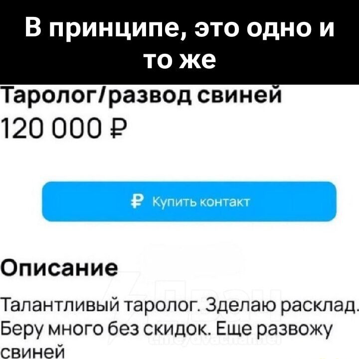 В принципе, это одно и то же
Таролог/развод свиней
120 000 ₽
Описание
Талантливый таролог. Сделаю расклад. Беру много без скидок. Еще разводжу свиней
