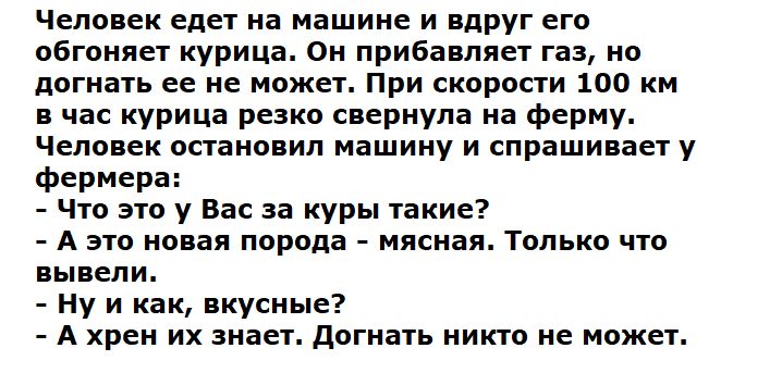 Человек едет на машине и вдруг его обгоняет курица. Он прибавляет газ, но догнать ее не может. При скорости 100 км в час курица резко свернула на ферму.
Человек остановил машину и спрашивает у фермера:
- Что это у Вас за куры такие?
- А это новая порода - мясная. Только что вывели.
- Ну и как, вкусные?
- А хрен их знает. Догнать никто не может.