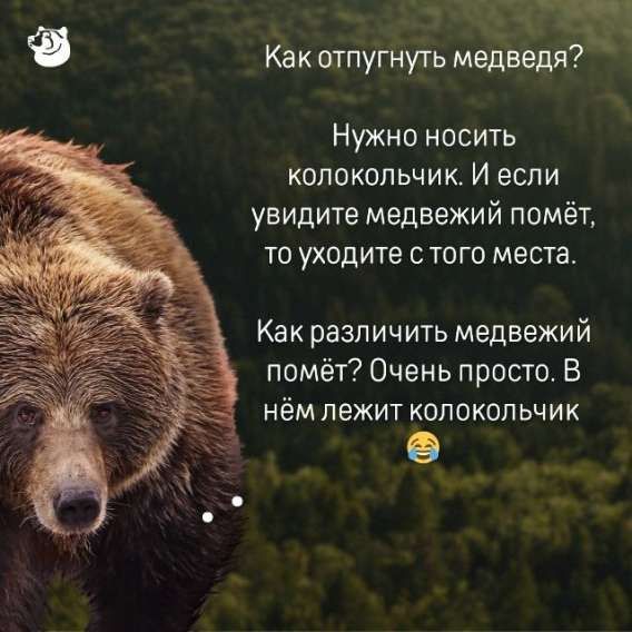 Как отпугнуть медведя?

Нужно носить колокольчик. И если увидите медвежий помёт, то уходите с того места.

Как различить медвежий помёт? Очень просто. В нём лежит колокольчик 😄
