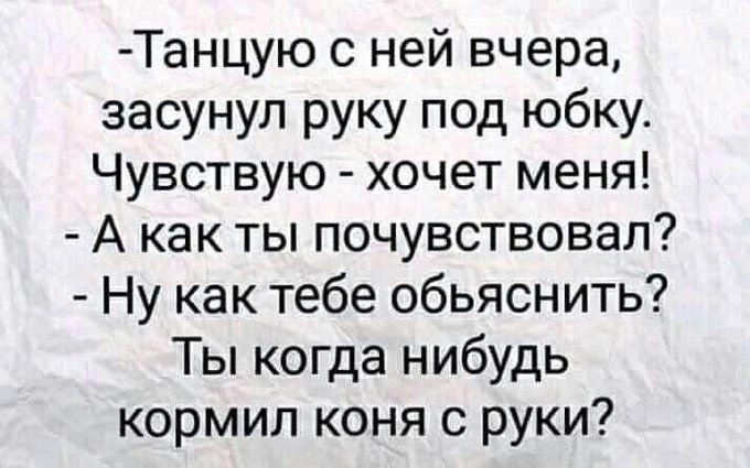 - Танцую с ней вчера, засунул руку под юбку. Чувствую - хочет меня!
- А как ты почувствовал?
- Ну как тебе объяснить? Ты когда нибудь кормил коня с руки?