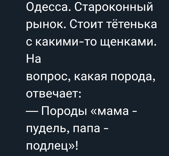 Одесса. Староконный рынок. Стоит тётенька с какими-то щенками. На вопрос, какая порода, отвечает: — Породы «мама - пудель, папа - подлец»!
