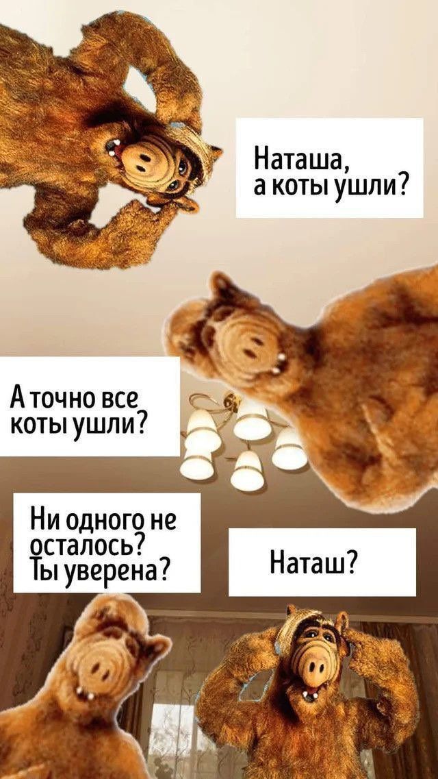 Наташа, а коты ушли?
А точно все коты ушли?
Ни одного не осталось? Ты уверена?
Наташ?