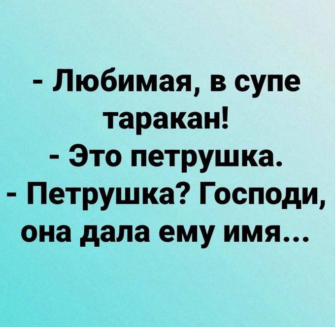 - Любимая, в супе таракан!
- Это петрушка.
- Петрушка? Господи, она дала ему имя...