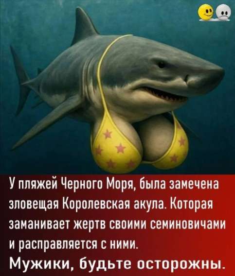 У пляжей Черного Моря, была замечена зловещая Королевская акула. Которая заманивает жертву своими семиновичами и расправляется с ними. Мужики, будьте осторожны.