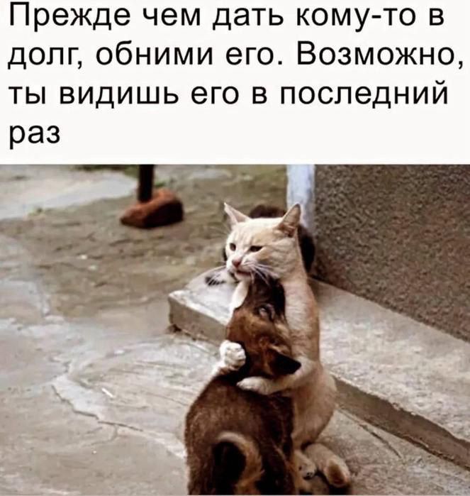Прежде чем дать кому-то в долг, обними его. Возможно, ты видишь его в последний раз