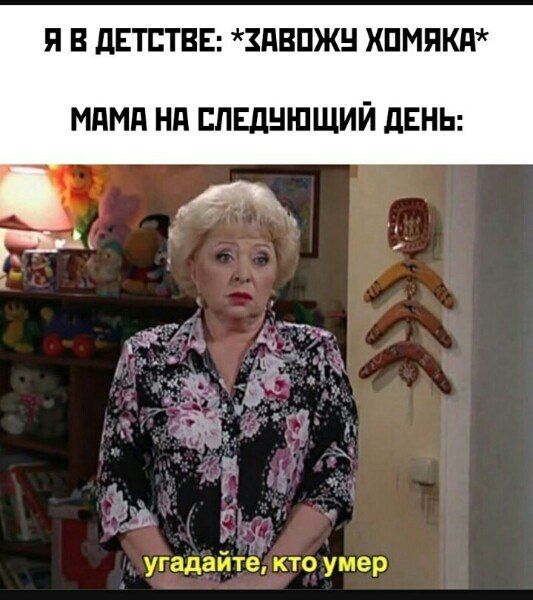 Я В ДЕТСТВЕ: *завожу хомяка* \n МАМА НА СЛЕДУЮЩИЙ ДЕНЬ: \n угадайте, кто умер