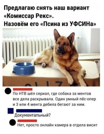Предлагаю снять наш вариант «Комиссар Рекс». Назовём его «Псина из УФСИН».

По НТВ шёл сериал, где собака за ментов все дела раскрывала. Один умный пёс-опера и 3 или 4 мента дебила бегают за ним.

Документальный?

Нет, просто онлайн камера в отделе висит.