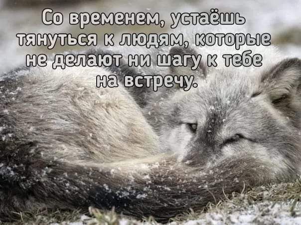 Со временем, устаёшь тянуться к людям, которые не делают ни шага к тебе на встречу.