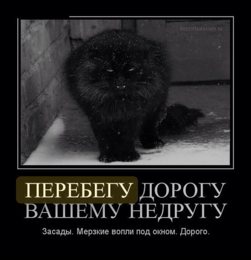 ПЕРЕБЕГУ ДОРогу ВАШЕМУ НЕДРУГУ
Засады. Мерзкие волки под окном. Дорого.