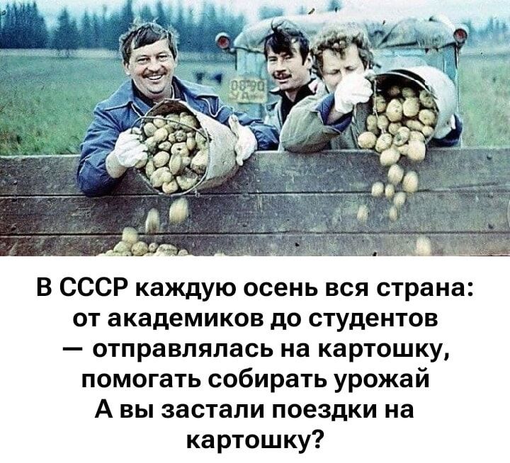 В СССР каждую осень вся страна: от академиков до студентов — отправлялась на картошку, помогать собирать урожай. А вы застали поездки на картошку?