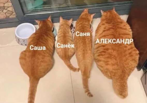 Саша
Санёк
Саня
АЛЕКСАНДР
