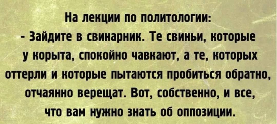 На лекции по политологии:
- Зайдите в свинарник. Те свиньи, которые у корыта, спокойно чавкают, а те, которых оттерли и которые пытаются пробиться обратно, отчаянно верещат. Вот, собственно, и все, что вам нужно знать об оппозиции.