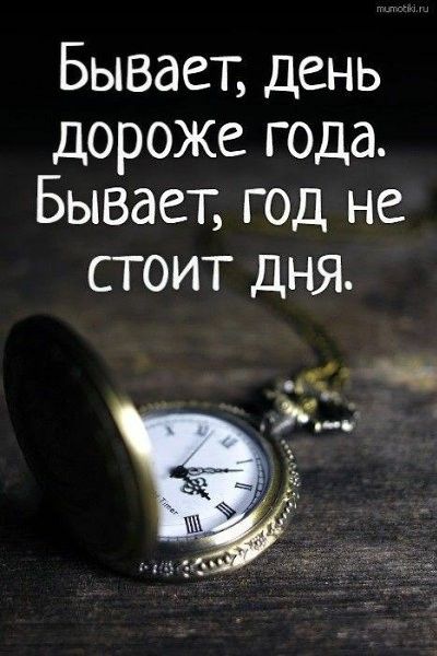 Бывает, день дороже года. Бывает, год не стоит дня.