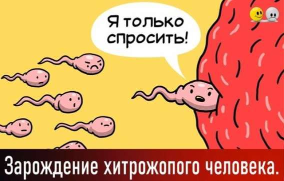 Я только спросить! 
Зарождение хитрожопого человека.