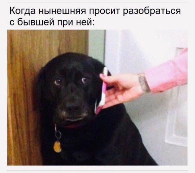 Когда нынешняя просит разобраться с бывшей при ней: