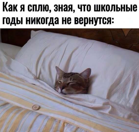 Как я сплю, зная, что school years never return: