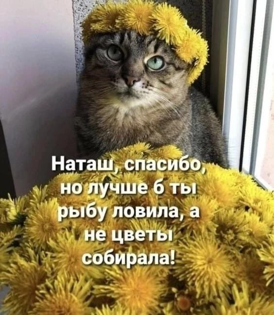 Наташ, спасибо, но лучше б ты рыбу ловила, а не цветы собирала!