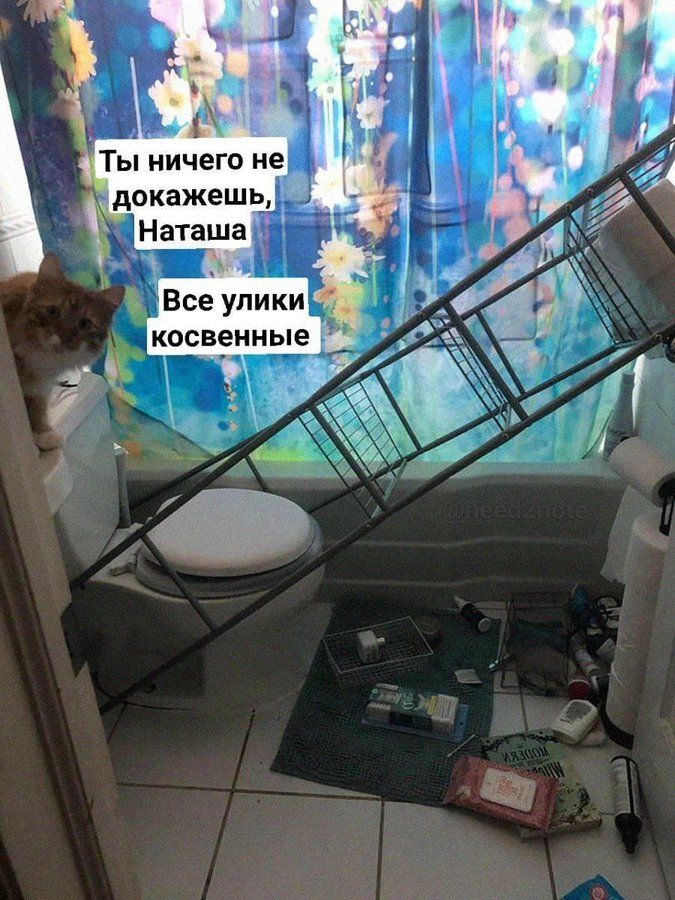 Ты ничего не докажешь, Наташа
Все улики косвенные