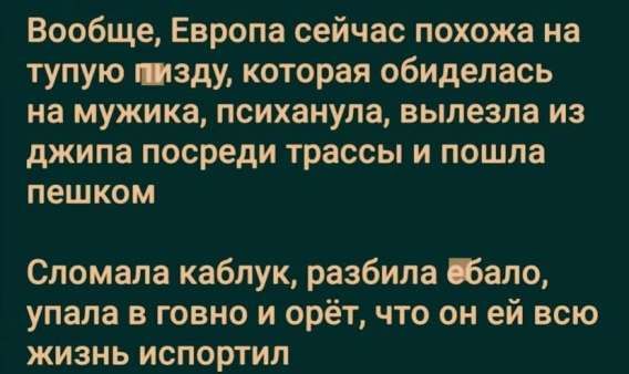 Вообще, Европа сейчас похожа на тупую пи...у, которая обиделась на мужика, психанула, вылезла из джипа посреди трассы и пошла пешком
Сломала каблук, разбила ёбало, упала в говно и орёт, что он ей всю жизнь испортил