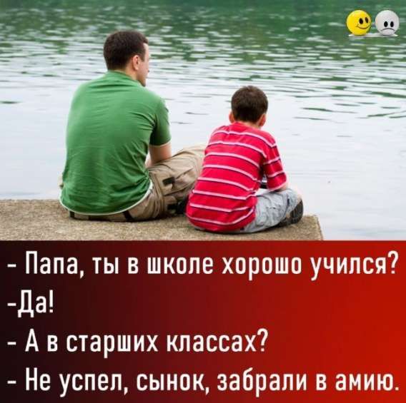 - Папа, ты в школе хорошо учился?
- Да!
- А в старших классах?
- Не успел, сынок, забрали в армию.