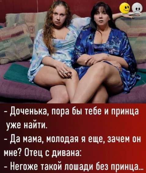 – Доченька, пора бы тебе и принца уже найти.
– Да мама, молодая я еще, зачем он мне? Отец с дивана:
– Негоже такой лошади без принца…