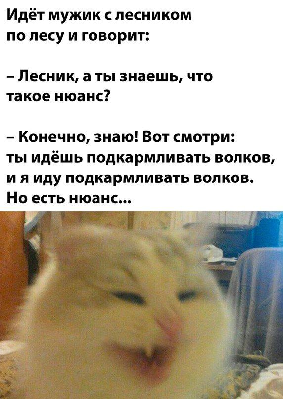 Идёт мужик с лесником по лесу и говорит:

– Лесник, а ты знаешь, что такое нюанс?

– Конечно, знаю! Вот смотри: ты идёшь подкармливать волков, и я иду подкармливать волков. Но есть нюанс...