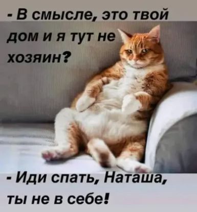 - В смысле, это твой дом и я тут не хозяин?
- Иди спать, Наташа, ты не в себе!