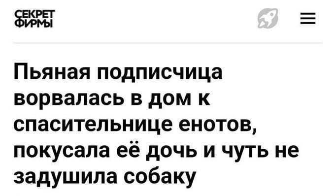 Пьяная подписчица ворвалась в дом к спасительнице енотов, покусала её дочь и чуть не задушила собаку