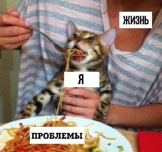 Жизнь я проблемы