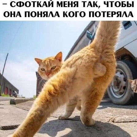 - СФОТКАЙ МЕНЯ ТАК, ЧТОБЫ ОНА ПОНИМАЛА КОГО ПОТЕРЯЛА