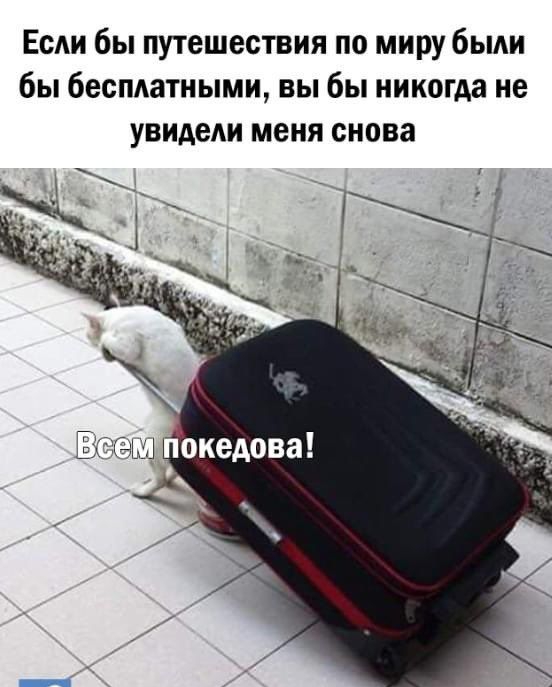 Если бы путешествия по миру были бы бесплатными, вы бы никогда не увидели меня снова. Всем покедова!