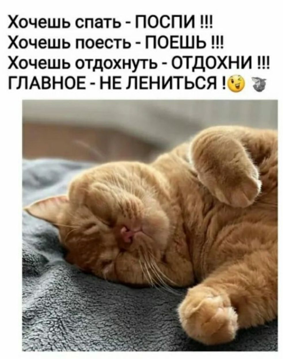 Хочешь спать - ПОСПИ !!!
Хочешь поесть - ПОЕШЬ !!!
Хочешь отдохнуть - ОТДОХНИ !!!
ГЛАВНОЕ - НЕ ЛЕНИТЬСЯ !😉
