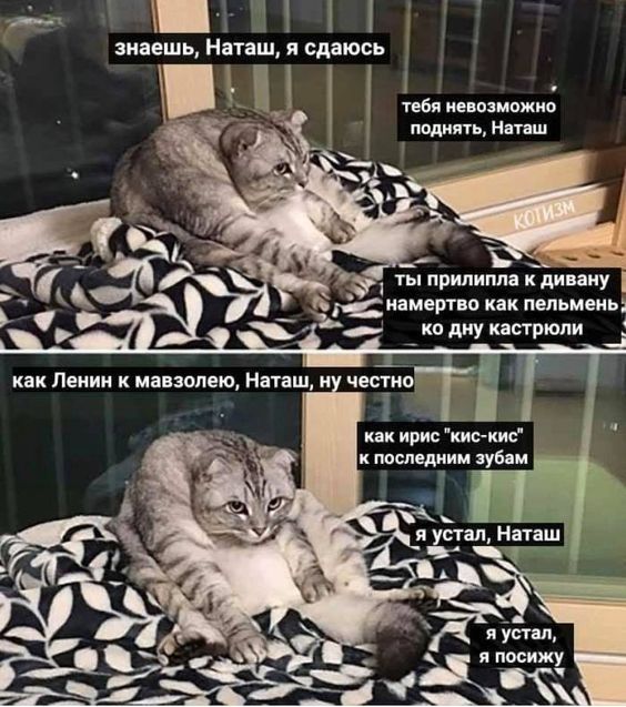 знаешь, Наташ, я сдаюсь
тебя невозможно поднять, Наташ
ты прилипла к дивану намертво как пельмень ко дну кастрюли
как Ленин к мавзолею, Наташ, ну честно
как ирис 
