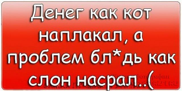 Денег как кот наплакал, а проблем блядь как слон насрал..(