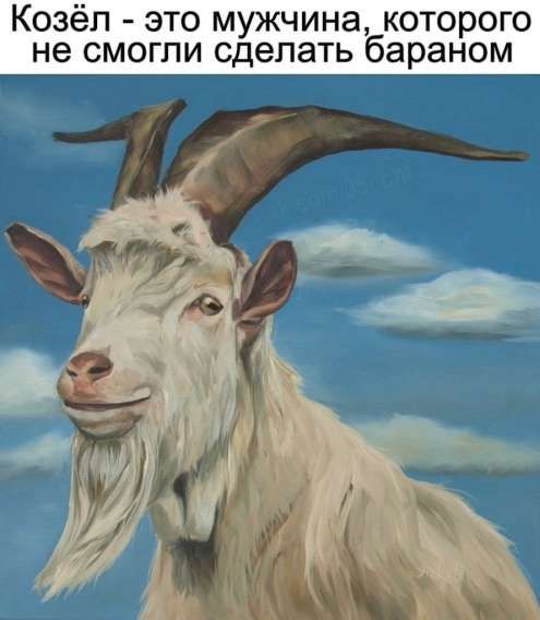 Козёл - это мужчина, которого не смогли сделать бараном